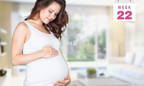全鹿丸与左归丸能同服吗-右归丸和全鹿丸哪个效果好、右归丸和全鹿丸哪个效果好 -右归丸和全鹿丸有什么区别网
