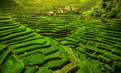 全鹿丸与左归丸能同服吗-右归丸和全鹿丸哪个效果好、右归丸和全鹿丸哪个效果好 -右归丸和全鹿丸有什么区别网